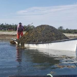 Meet your Posher, Shane